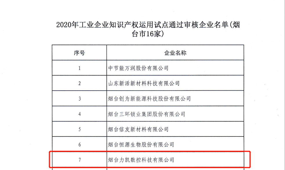 工(gōng)業企業知識産(chǎn)權運用(yòng)試點企業